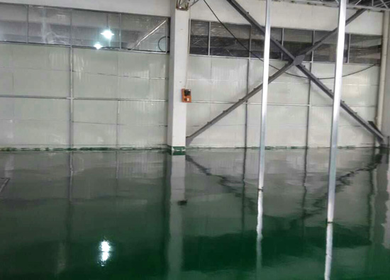 麗固地坪案例項(xiàng)目：蘇州施強(qiáng)醫(yī)療器械有限公司