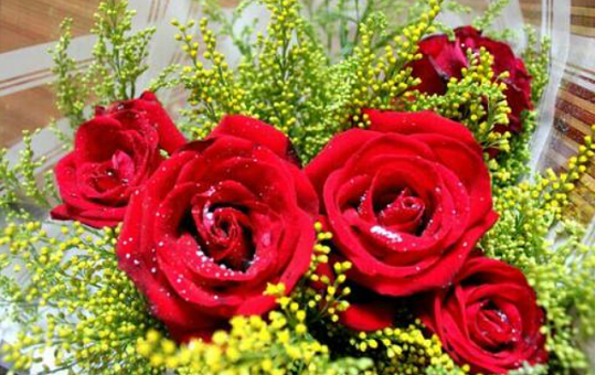 北京韋林意威特工業(yè)內(nèi)窺鏡有限公司預(yù)祝大家新年快樂(lè)，喜樂(lè)安康！